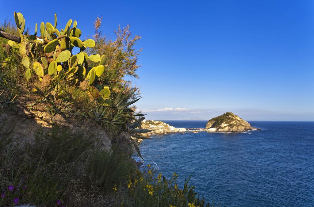 Costa Del Capitano Seaside Villas Sant'Angelo  Экстерьер фото